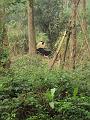 DSC04501