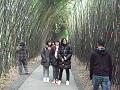 DSC04508