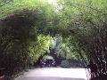 DSC04522